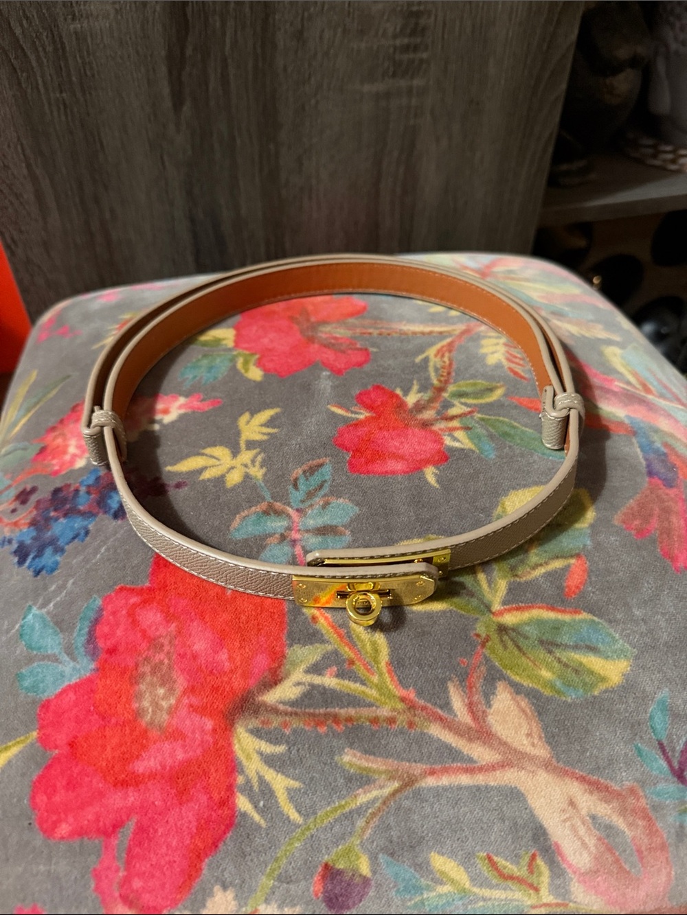 Neutral Beige Leather Women's Slim Belt with Gold Buckle NEW